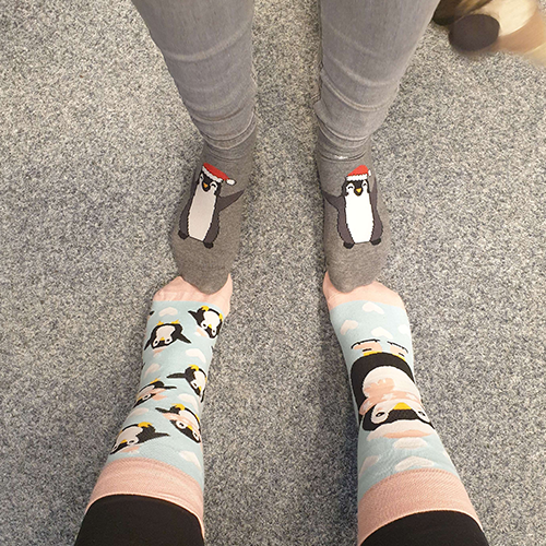Tučňáčí drescode