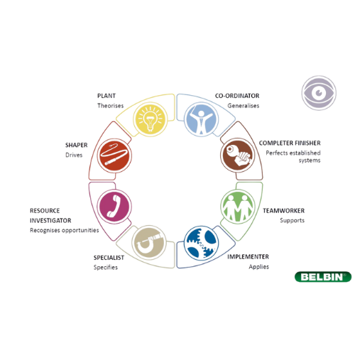 Belbin test